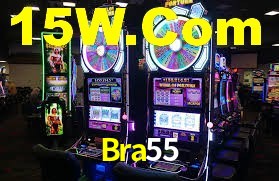 Programa VIP Bra55